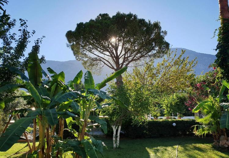 Gokcen Apartments Oludeniz Kültér fotó