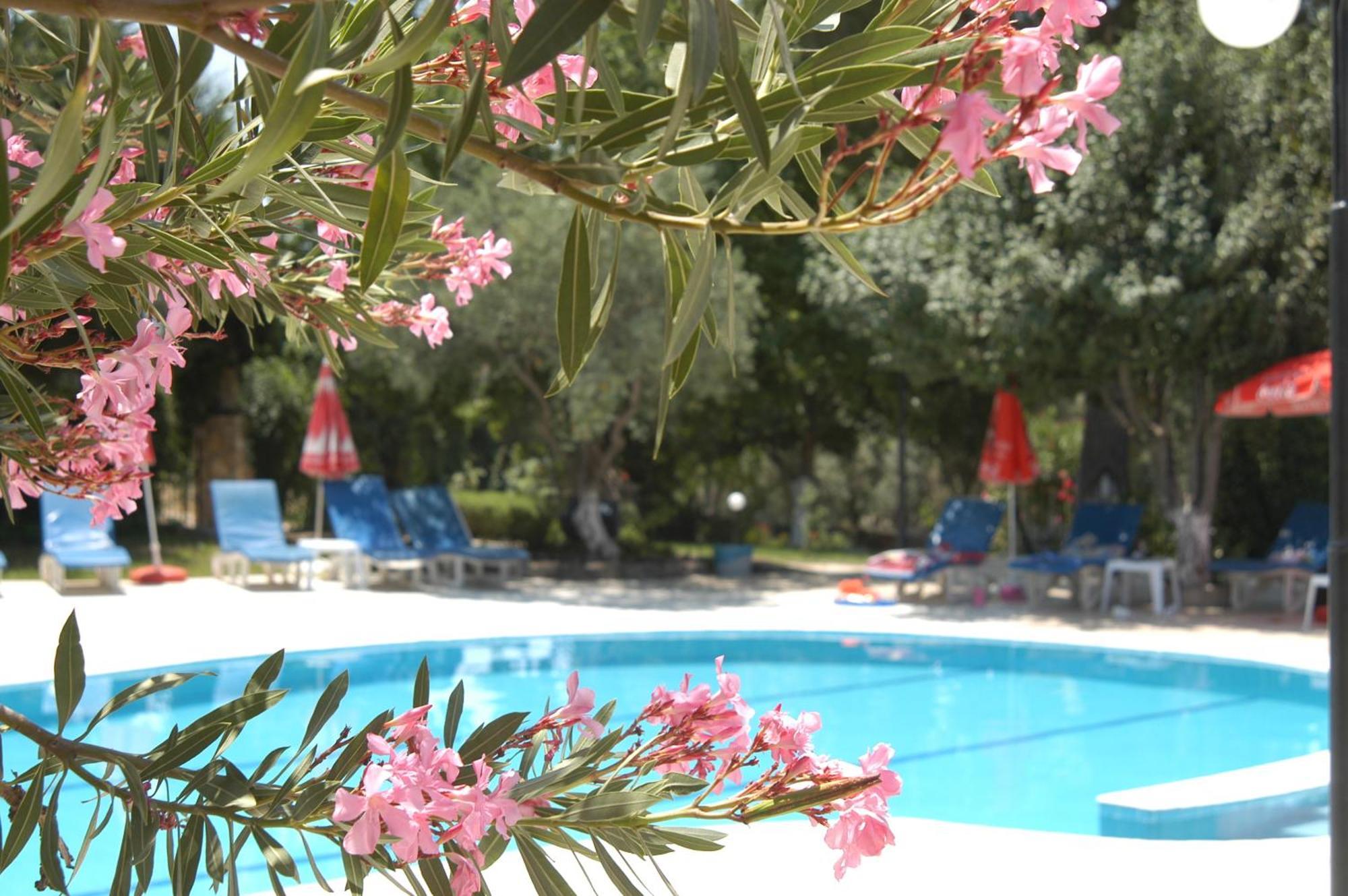 Gokcen Apartments Oludeniz Kültér fotó